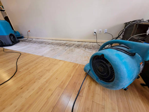 Professional Basement Flood Cleanup technician working in Thorndale, PA
